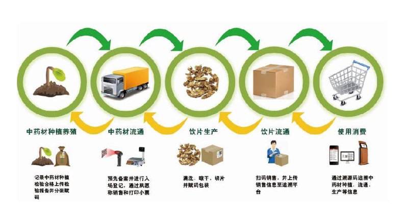 中药材追溯系统:构建透明流通体系